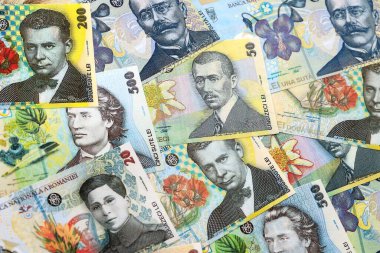 Romanian Leu currency money bills. RON currency banknotes in big amount with different denomination close up