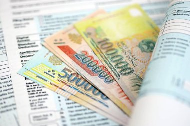 Vietnam malı para faturaları vergi formuna yakın. Vergi ve muhasebe kavramı