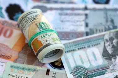 Mısır para birimi banknotları ve biz dolar banknotları yakın çekim. Ekonomi ve döviz kuru kavramı