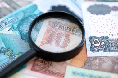 Mısır para birimi banknotları ve büyüteç yakın çekim. Finansal izleme ve vergilendirme kavramı