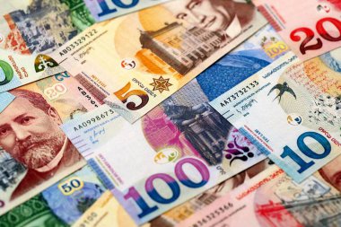 Georgian Lari currency money bills in bunch. GEL currency banknotes with different denomination close up
