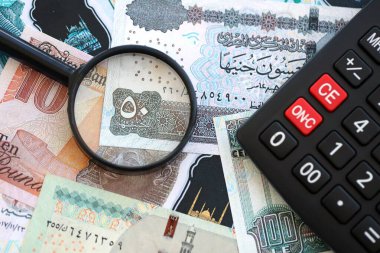 Mısır para birimi banknotları ve büyüteçle yakın plan hesap makinesi. Vergilendirme ve para sayımı kavramı