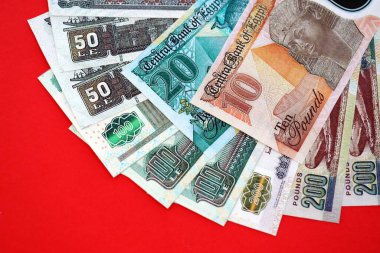 Mısır 'a ait para banknotları kırmızı olana çok yakın. Finans ve bankacılık kavramı