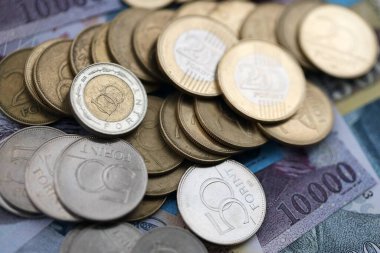 Hungarian Forint currency money bills and coins. Many HUF currency banknotes and coins close up