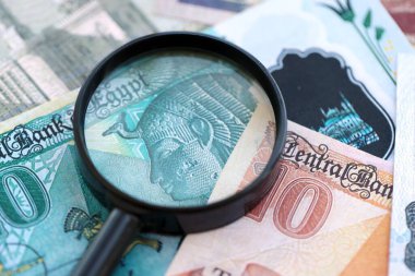 Mısır para birimi banknotları ve büyüteç yakın çekim. Finansal izleme ve vergilendirme kavramı