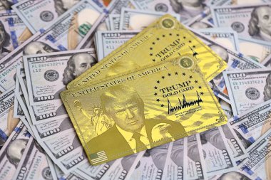 KYIV, UKRAINE - 13 ARALIK 2025 Altın Kart hatırası.