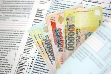 Vietnam malı para faturaları vergi formuna yakın. Vergi ve muhasebe kavramı