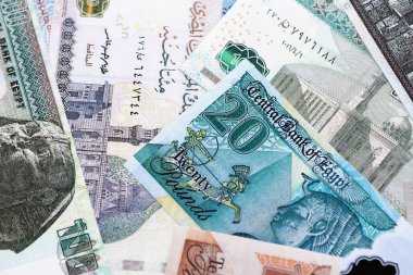 Mısır para birimi banknotları. Mevcut banknotlar masanın üzerinde büyük miktarda yatıyor.