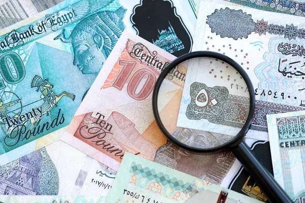 Mısır para birimi banknotları ve büyüteç yakın çekim. Finansal izleme ve vergilendirme kavramı