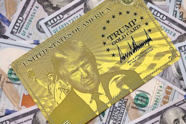 KYIV, UKRAINE - 13 ARALIK 2025 Altın Kart hatırası.