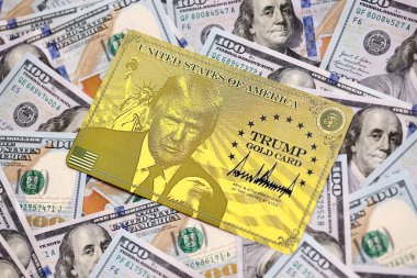 KYIV, UKRAINE - 13 ARALIK 2025 Altın Kart hatırası.