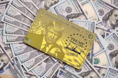 KYIV, UKRAINE - 13 ARALIK 2025 Altın Kart hatırası.