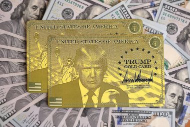 KYIV, UKRAINE - 13 ARALIK 2025 Altın Kart hatırası.