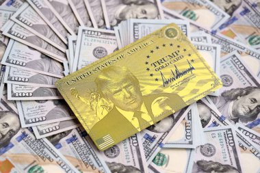 KYIV, UKRAINE - 13 ARALIK 2025 Altın Kart hatırası.