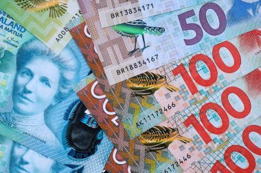 Yeni Zelanda para banknotları yakın planda büyük miktarda. Yeni Zelanda 'da zengin yaşam konsepti. İş ve ekonomi