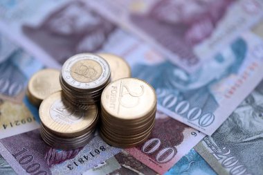 Heap of Hungarian Forint currency money bills and coins. HUF currency banknotes and coins close up