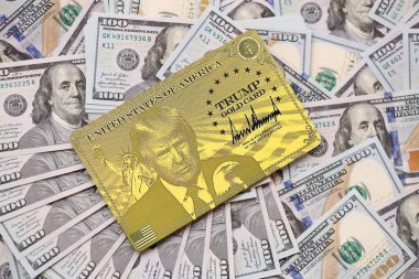 KYIV, UKRAINE - 13 ARALIK 2025 Altın Kart hatırası.