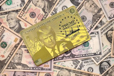 KYIV, UKRAINE - 13 ARALIK 2025 Trump altın kart hatırası büyük miktarda Amerikan doları banknotları yakın çekim