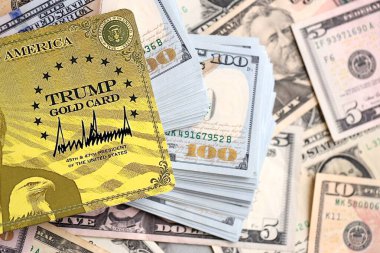 KYIV, UKRAINE - 13 ARALIK 2025 Trump altın kart hatırası büyük miktarda Amerikan doları banknotları yakın çekim