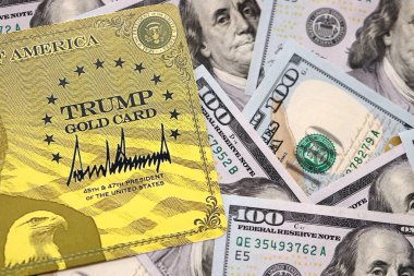 KYIV, UKRAINE - 13 ARALIK 2025 Altın Kart hatırası.