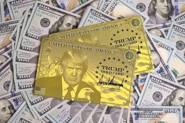 KYIV, UKRAINE - 13 ARALIK 2025 Altın Kart hatırası.