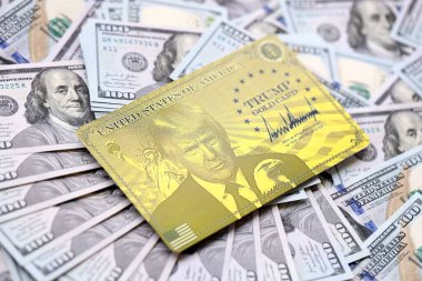 KYIV, UKRAINE - 13 ARALIK 2025 Altın Kart hatırası.