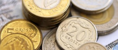 Büyük miktarda Polonyalı zloti para banknotları ve grosz paralar kapanıyor. Büyük miktarda Polonya parası yığını. Polonya 'da iş, ekonomi ve yatırım kavramı