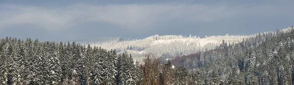 Florestas nevadas nas colinas — Fotografia de Stock