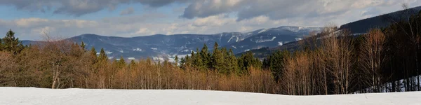 Posto de sinalização em uma planície nevada — Fotografia de Stock