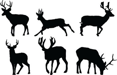 Set of Deer silhouette clipart