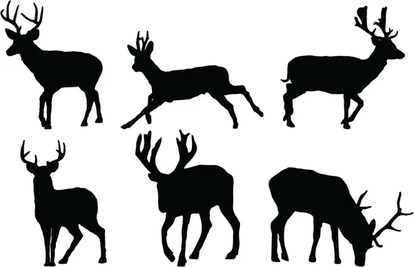 Set of Deer silhouette — Stock Vector