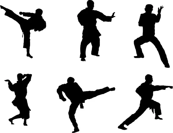 Set von Kampfkunst-Silhouette — Stockvektor