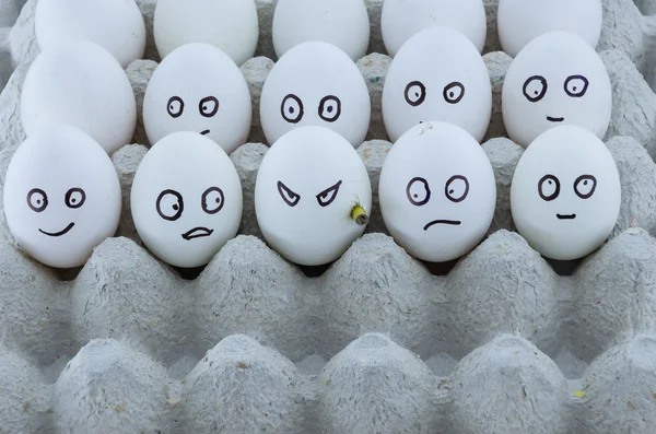Tavuk yumurtası ile karton yumurta tepsi. Terörizmin sosyal kavramı.