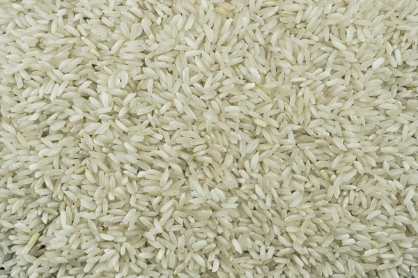 Семена риса — стоковое фото