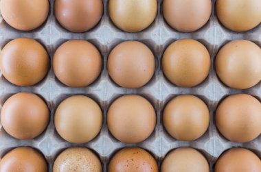 Kahverengi tavuk yumurta karton yumurta tepsiye