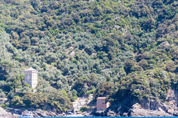 Lille strand af fiskerne i San Fruttuoso - Stock-foto