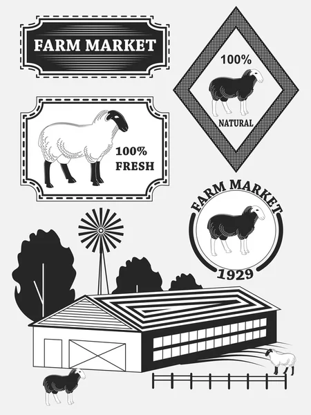 Set aus hochwertigen Lamm-Etiketten, Hammelfleisch, Abzeichen und Designelementen. Vektor — Stockvektor