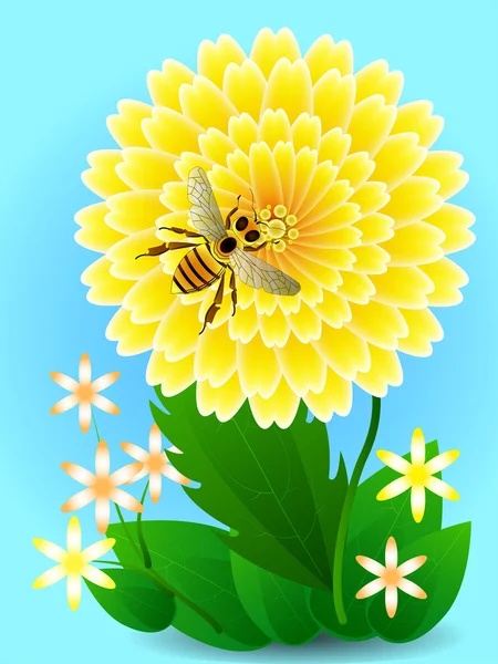 Bee op gele bloem verzamelt honing en pollen. Vector — Stockvector