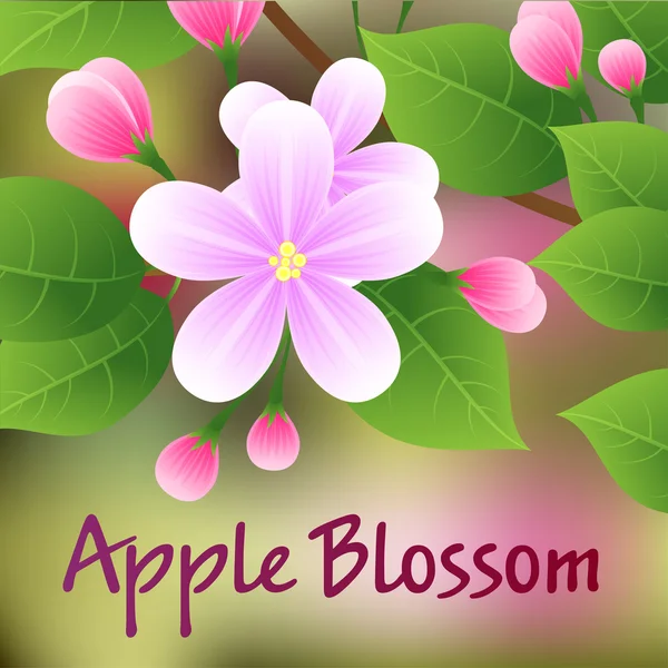 Rama de manzano floreciente con flores rosadas. Vector — Vector de stock