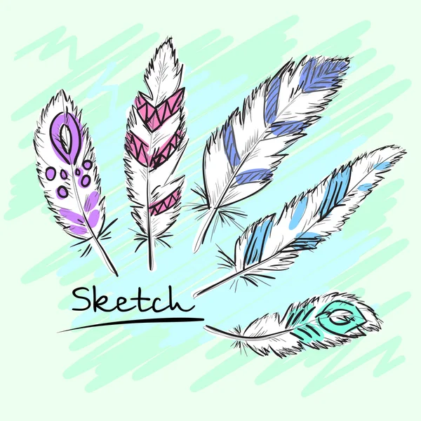 Set of beautiful colored feather. Sketch feathers. Vector — Stock Vector