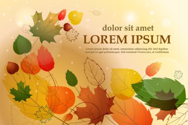 Örnek metin ile renkli yapraklar. Sonbahar çiçek arka plan. Vektör