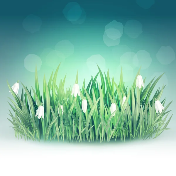 Background with spring snowdrop — Stock Vector