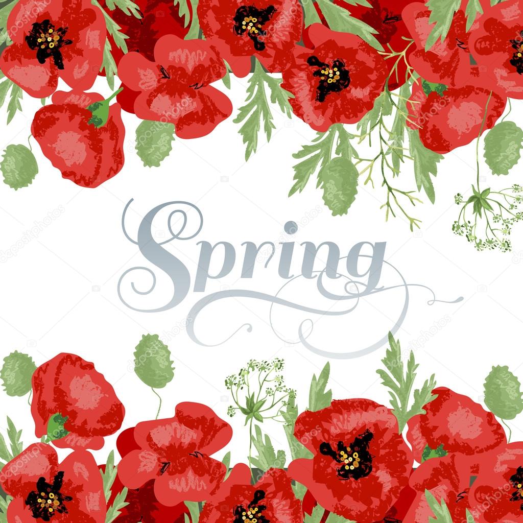 spring background with poppies