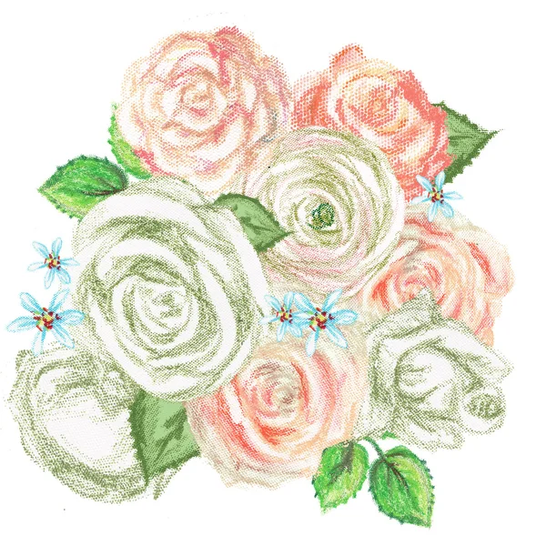 Rosas desenhadas à mão . — Fotografia de Stock