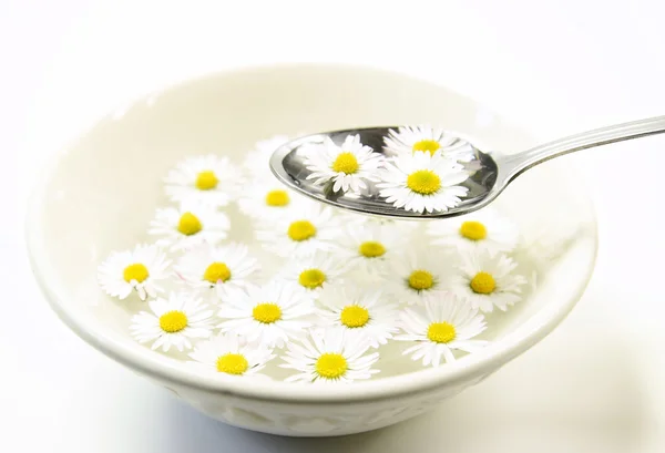 Bol en céramique avec des fleurs de marguerite et cuillère — Photo