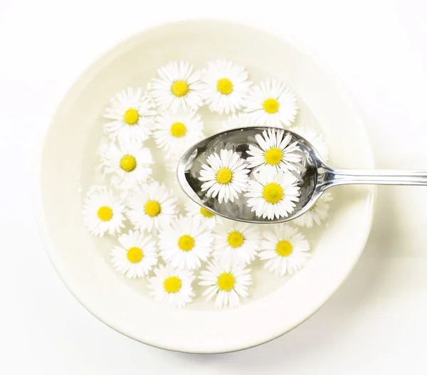 Keramisk skål med daisy blomster og ske - Stock-foto