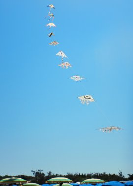 mavi gökyüzünde uçan uçurtma