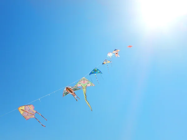 Летящие змеи в голубом небе — стоковое фото