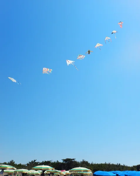 Flying kites in blue sky — Stock Photo, Image