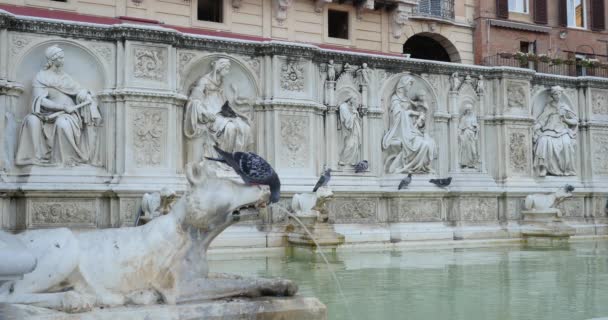 Fonte em Siena, Fonte Gaia.Toscana, Itália. Clipe 4k . — Vídeo de Stock